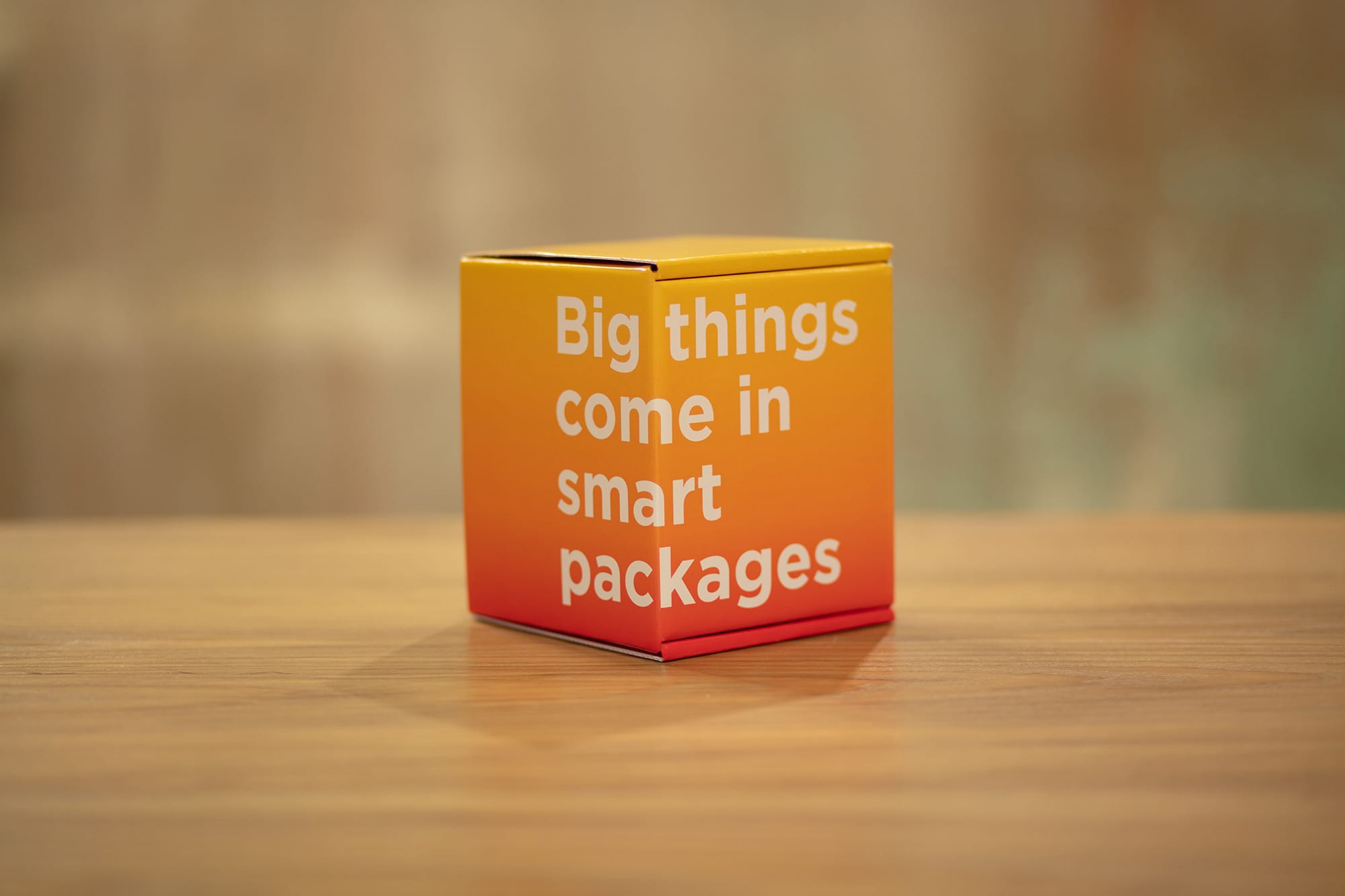 TearCare Mailer - Big Things Come in Smart Packages
