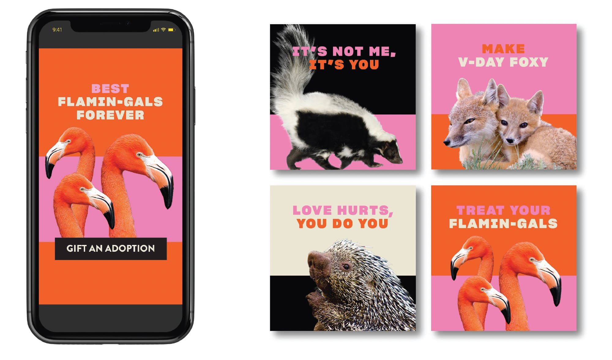 Zoo Valentine Adoption Social Graphics
