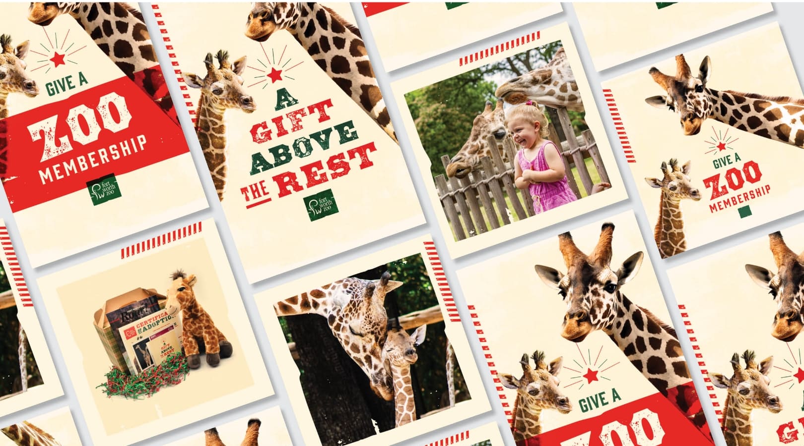 Fort Worth Zoo Holiday Social Graphics