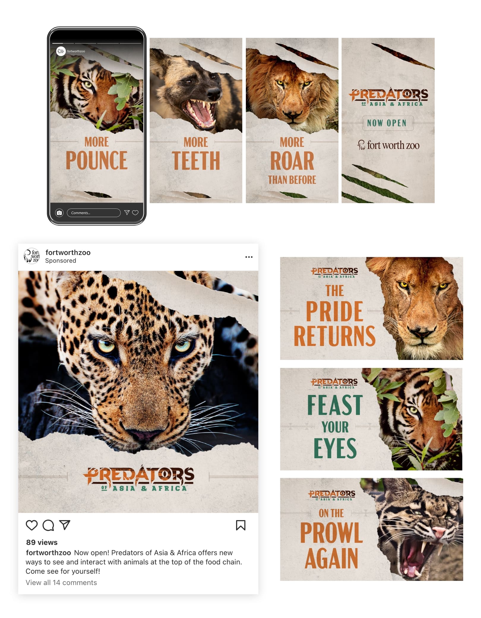 Predators Social Media Work by Schaefer Advertising for Fort Worth Zoo