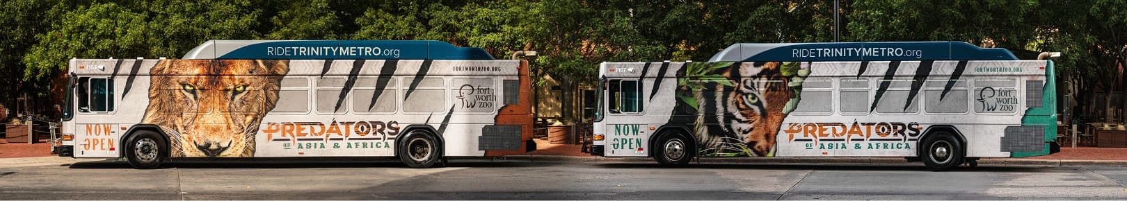 Predators Exhibit at the Fort Worth Zoo Bus Wrap