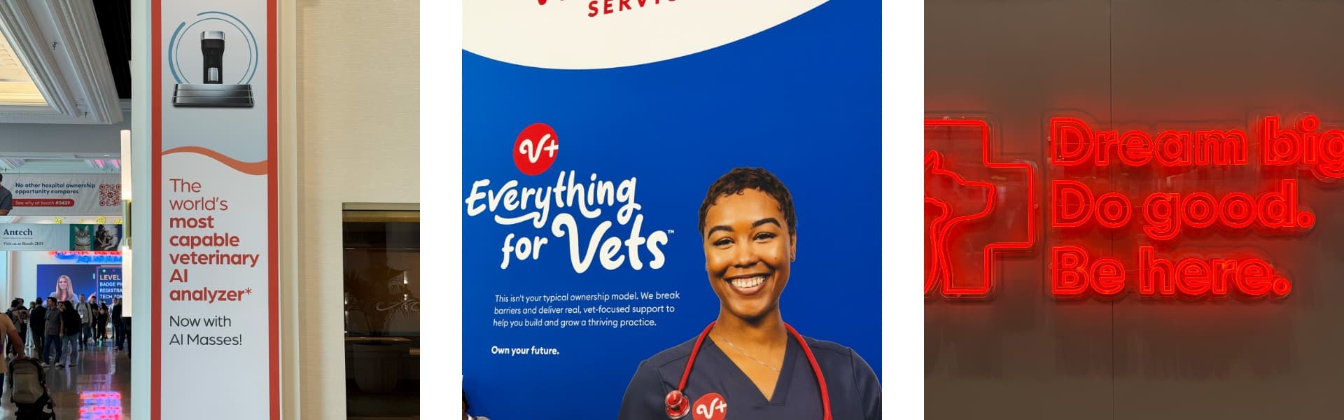 Veterinary Advertising Examples